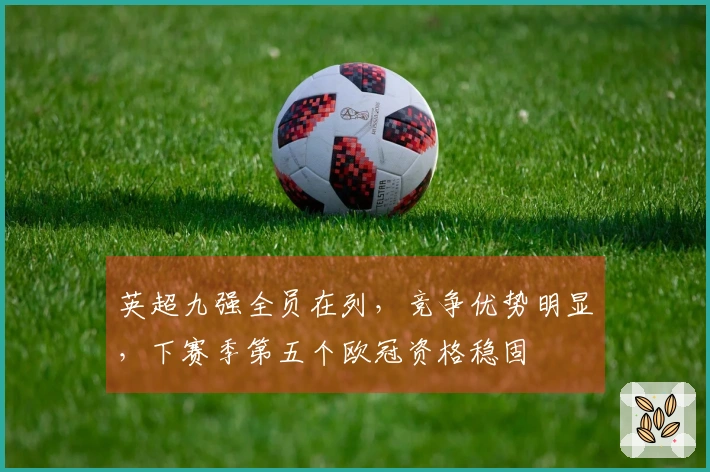 英超九强全员在列，竞争优势明显，下赛季第五个欧冠资格稳固